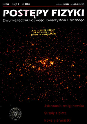 Postępy fizyki nr 1/2004